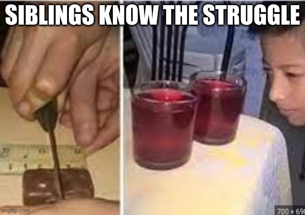 lol | SIBLINGS KNOW THE STRUGGLE | image tagged in siblings,we know the struggle | made w/ Imgflip meme maker