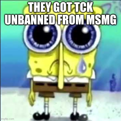 Sad Spongebob | THEY GOT TCK UNBANNED FROM MSMG | image tagged in sad spongebob | made w/ Imgflip meme maker