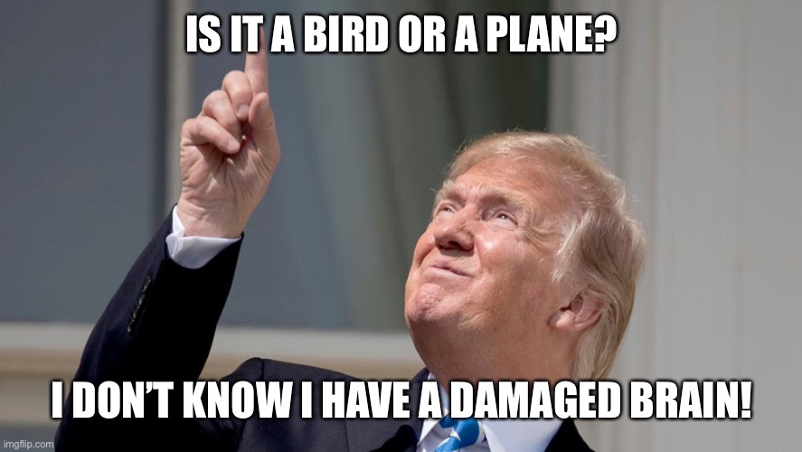 Trump Pointing Up | IS IT A BIRD OR A PLANE? I DON’T KNOW I HAVE A DAMAGED BRAIN! | image tagged in trump pointing up | made w/ Imgflip meme maker