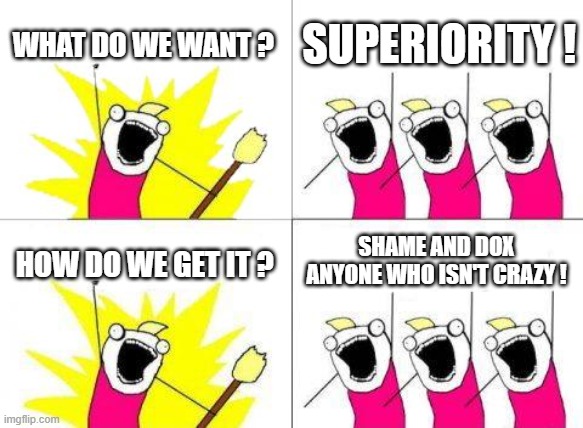 What Do We Want | WHAT DO WE WANT ? SUPERIORITY ! SHAME AND DOX ANYONE WHO ISN'T CRAZY ! HOW DO WE GET IT ? | image tagged in memes,what do we want | made w/ Imgflip meme maker