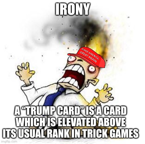 The Irony It Burns!!! | IRONY; A “TRUMP CARD” IS A CARD WHICH IS ELEVATED ABOVE ITS USUAL RANK IN TRICK GAMES | image tagged in the irony it burns | made w/ Imgflip meme maker