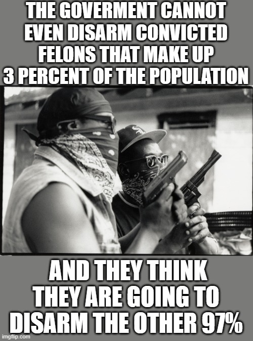 yep | THE GOVERMENT CANNOT EVEN DISARM CONVICTED FELONS THAT MAKE UP 3 PERCENT OF THE POPULATION; AND THEY THINK THEY ARE GOING TO DISARM THE OTHER 97% | image tagged in democrats | made w/ Imgflip meme maker