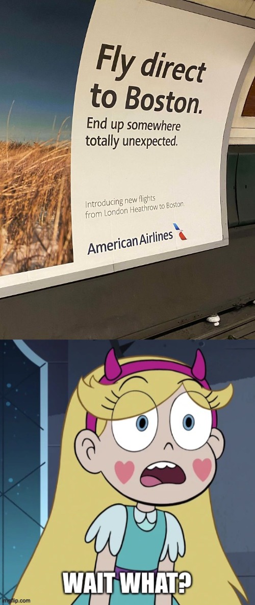 Ummmmmmmm........... | image tagged in star butterfly wait what,airport,star vs the forces of evil,you had one job,design fails,memes | made w/ Imgflip meme maker