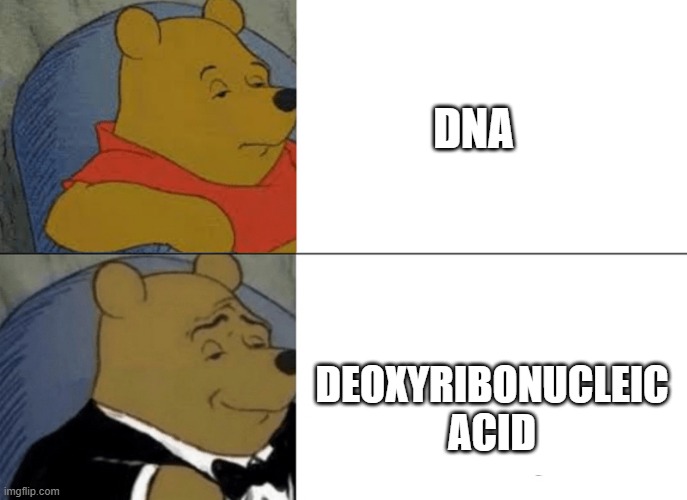 DNA; DEOXYRIBONUCLEIC ACID | image tagged in science | made w/ Imgflip meme maker