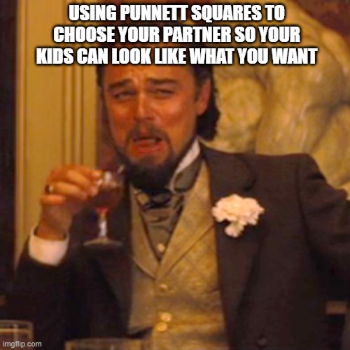 Laughing Leo | USING PUNNETT SQUARES TO CHOOSE YOUR PARTNER SO YOUR KIDS CAN LOOK LIKE WHAT YOU WANT | image tagged in memes,laughing leo | made w/ Imgflip meme maker