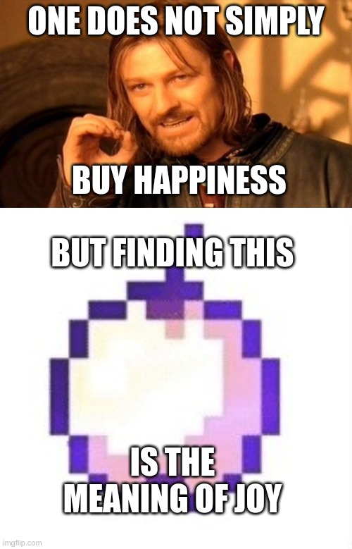 enchanted joy | ONE DOES NOT SIMPLY; BUY HAPPINESS; BUT FINDING THIS; IS THE MEANING OF JOY | image tagged in memes,one does not simply,minecraft apple format | made w/ Imgflip meme maker