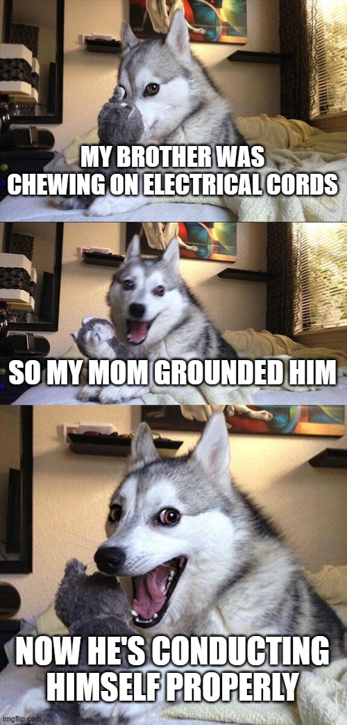 Currently he's doing better | MY BROTHER WAS CHEWING ON ELECTRICAL CORDS; SO MY MOM GROUNDED HIM; NOW HE'S CONDUCTING HIMSELF PROPERLY | image tagged in memes,bad pun dog,electricity | made w/ Imgflip meme maker
