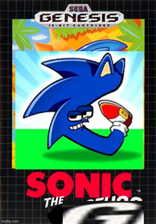 Sonic the G | image tagged in sonic,the,g | made w/ Imgflip meme maker