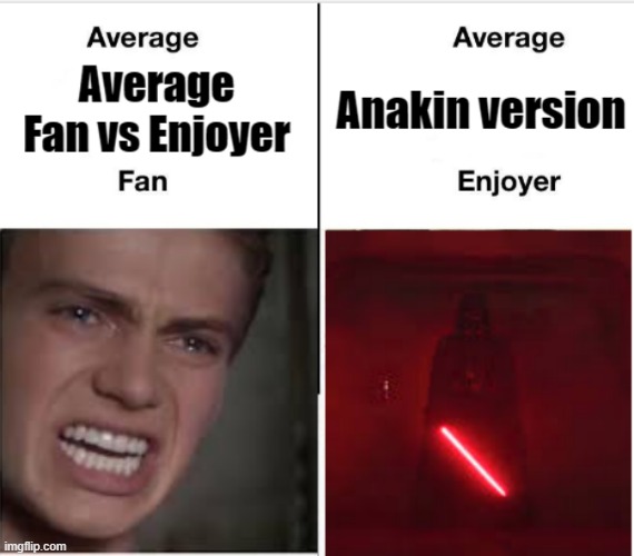 average fan vs average enjoyer | image tagged in average fan vs average enjoyer | made w/ Imgflip meme maker