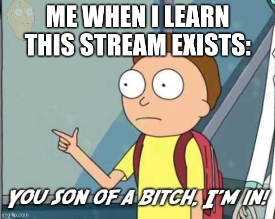 Let's do this! | ME WHEN I LEARN THIS STREAM EXISTS: | image tagged in you son of a bitch i'm in | made w/ Imgflip meme maker