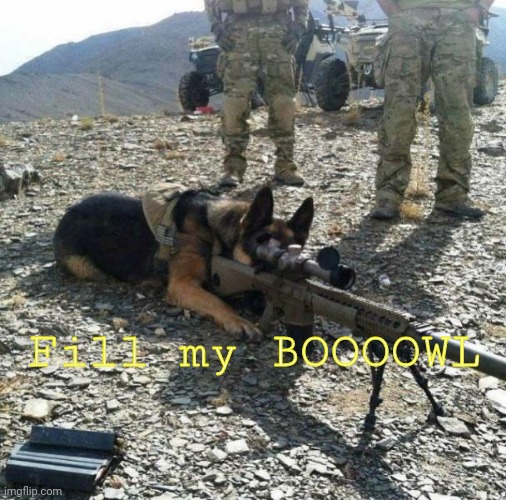 Military dog with gun tripod | Fill my BOOOOWL | image tagged in military dog with gun tripod | made w/ Imgflip meme maker