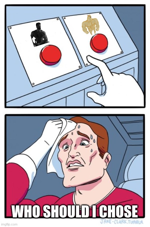 Two Buttons Meme | WHO SHOULD I CHOSE | image tagged in memes,two buttons | made w/ Imgflip meme maker