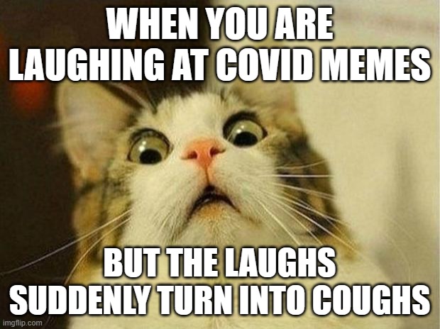 Scared Cat | WHEN YOU ARE LAUGHING AT COVID MEMES; BUT THE LAUGHS SUDDENLY TURN INTO COUGHS | image tagged in memes,scared cat | made w/ Imgflip meme maker