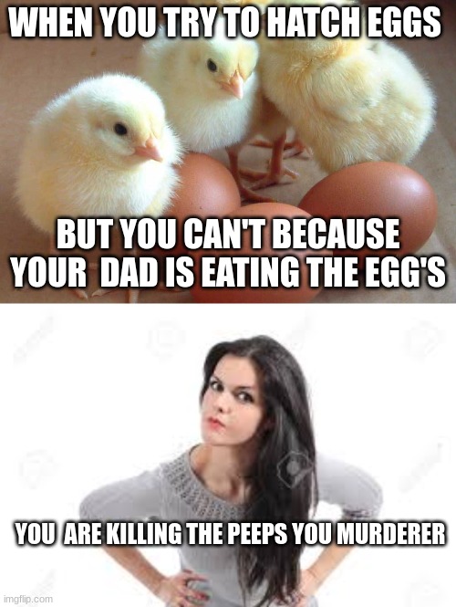 when mom  gets mad. | WHEN YOU TRY TO HATCH EGGS; BUT YOU CAN'T BECAUSE YOUR  DAD IS EATING THE EGG'S; YOU  ARE KILLING THE PEEPS YOU MURDERER | image tagged in chickens and eggs,angry women | made w/ Imgflip meme maker