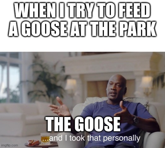 goses | WHEN I TRY TO FEED A GOOSE AT THE PARK; THE GOOSE | image tagged in and i took that personally | made w/ Imgflip meme maker