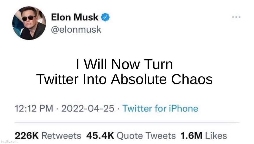 Elon Musk Buying Twitter | I Will Now Turn Twitter Into Absolute Chaos | image tagged in elon musk buying twitter | made w/ Imgflip meme maker