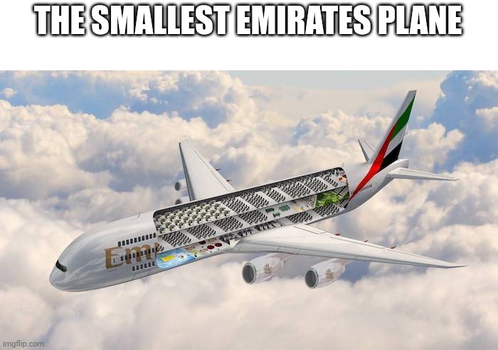 THE SMALLEST EMIRATES PLANE | made w/ Imgflip meme maker