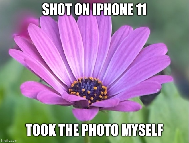 SHOT ON IPHONE 11; TOOK THE PHOTO MYSELF | made w/ Imgflip meme maker