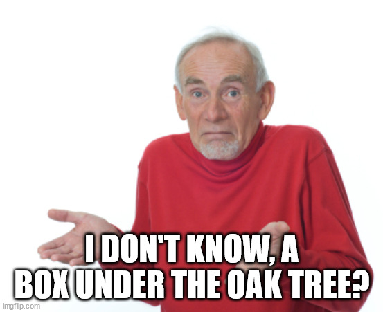 Guess I'll die  | I DON'T KNOW, A BOX UNDER THE OAK TREE? | image tagged in guess i'll die | made w/ Imgflip meme maker