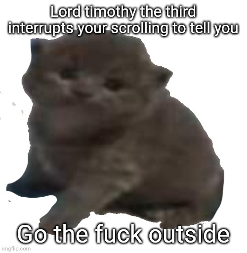 lord timothy the third | Lord timothy the third interrupts your scrolling to tell you; Go the fuck outside | image tagged in lord timothy the third | made w/ Imgflip meme maker