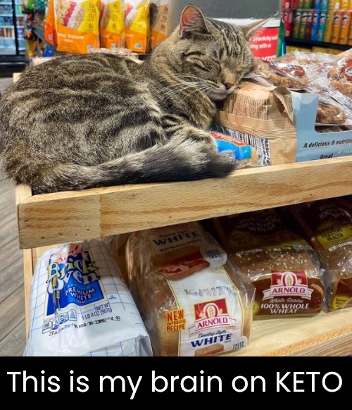 Catosis | This is my brain on KETO | image tagged in funny memes,funny cat memes,keto,bread,carbs | made w/ Imgflip meme maker