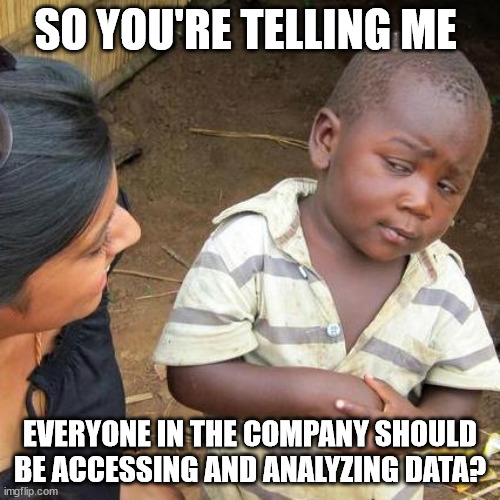 Third World Skeptical Kid Meme | SO YOU'RE TELLING ME; EVERYONE IN THE COMPANY SHOULD BE ACCESSING AND ANALYZING DATA? | image tagged in memes,third world skeptical kid | made w/ Imgflip meme maker
