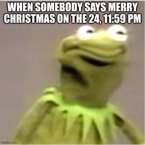 Meanwhile, during Christmas eve: | WHEN SOMEBODY SAYS MERRY CHRISTMAS ON THE 24, 11:59 PM | image tagged in kirmit triggerd | made w/ Imgflip meme maker