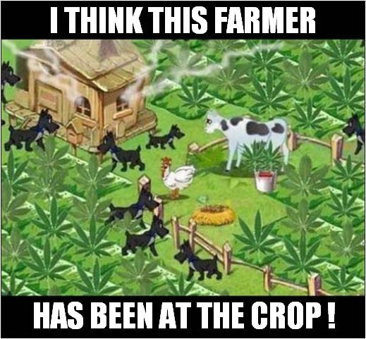 Trippin' | I THINK THIS FARMER; HAS BEEN AT THE CROP ! | image tagged in farmer,smoking weed,hallucinate | made w/ Imgflip meme maker