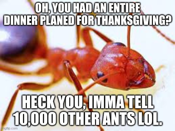 Yes, I know it's January | OH, YOU HAD AN ENTIRE DINNER PLANED FOR THANKSGIVING? HECK YOU, IMMA TELL 10,000 OTHER ANTS LOL. | image tagged in funny | made w/ Imgflip meme maker