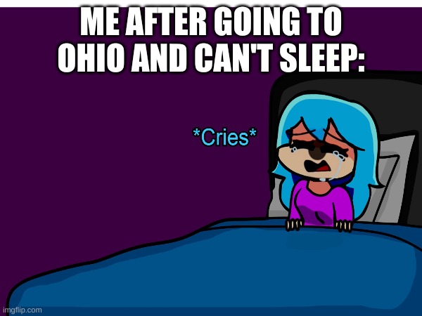 new thing i made credit the original artist on Reddit | ME AFTER GOING TO OHIO AND CAN'T SLEEP: | image tagged in memes,fnf,ohio,high pitched crying | made w/ Imgflip meme maker