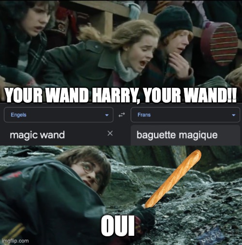 Your baguette, Harry! | YOUR WAND HARRY, YOUR WAND!! OUI | image tagged in harry potter | made w/ Imgflip meme maker