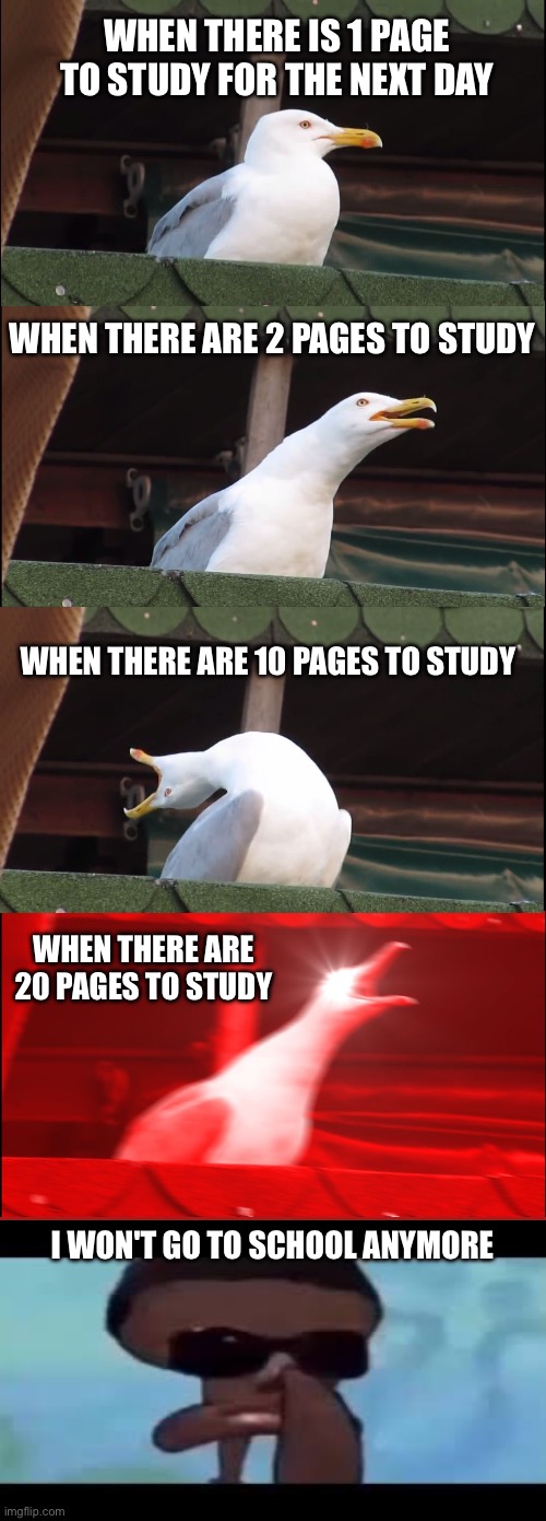Inhaling Seagull | WHEN THERE IS 1 PAGE TO STUDY FOR THE NEXT DAY; WHEN THERE ARE 2 PAGES TO STUDY; WHEN THERE ARE 10 PAGES TO STUDY; WHEN THERE ARE 20 PAGES TO STUDY; I WON'T GO TO SCHOOL ANYMORE | image tagged in memes,inhaling seagull,study,school | made w/ Imgflip meme maker