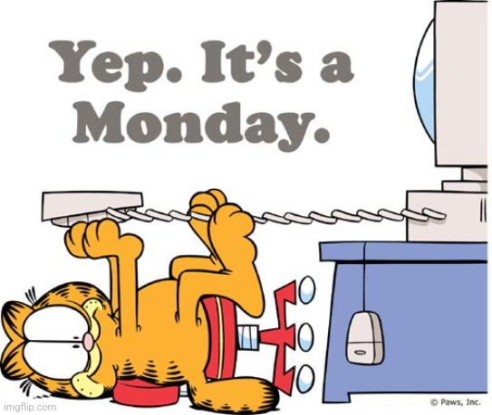 garfield hates mondays | image tagged in garfield hates mondays | made w/ Imgflip meme maker