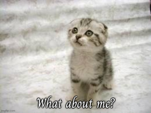 Sad Cat Meme | What about me? | image tagged in memes,sad cat | made w/ Imgflip meme maker