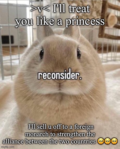 reconsider | >v< I'll treat you like a princess; I'll sell u off to a foreign monarch to strengthen the alliance between the two countries 🥺🥺🥺 | image tagged in reconsider | made w/ Imgflip meme maker