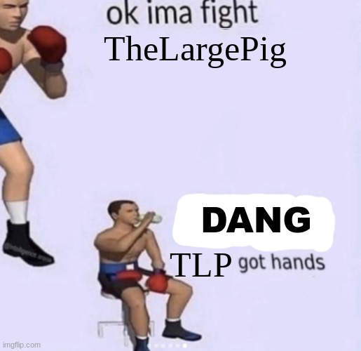 dang bro's got hands | TheLargePig; DANG; TLP | image tagged in damn got hands | made w/ Imgflip meme maker