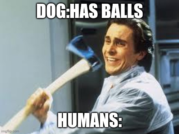 AAAAAAAAAAAAAAAAAAAAAAAAAAAAAAAAAAAAAAA | DOG:HAS BALLS; HUMANS: | image tagged in axe guy meme | made w/ Imgflip meme maker