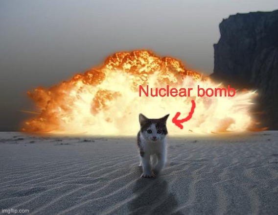 cat explosion | Nuclear bomb | image tagged in cat explosion | made w/ Imgflip meme maker