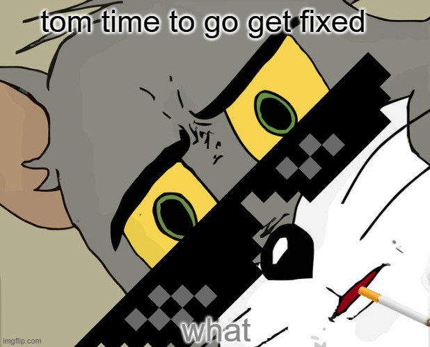 WHAT | tom time to go get fixed; what | image tagged in memes,unsettled tom | made w/ Imgflip meme maker