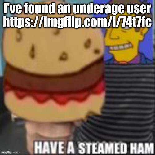 Have a steamed ham | I've found an underage user https://imgflip.com/i/74t7fc | image tagged in have a steamed ham | made w/ Imgflip meme maker