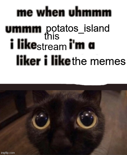 potatos_island; this stream; the memes | image tagged in i'm a thing liker,skrunkly | made w/ Imgflip meme maker