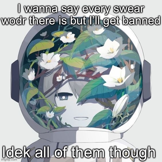 avogado6 | I wanna say every swear wodr there is but I’ll get banned; Idek all of them though | image tagged in avogado6 | made w/ Imgflip meme maker