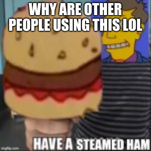 Have a steamed ham | WHY ARE OTHER PEOPLE USING THIS LOL | image tagged in have a steamed ham | made w/ Imgflip meme maker