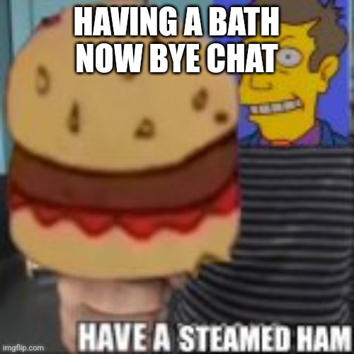 Have a steamed ham | HAVING A BATH NOW BYE CHAT | image tagged in have a steamed ham | made w/ Imgflip meme maker
