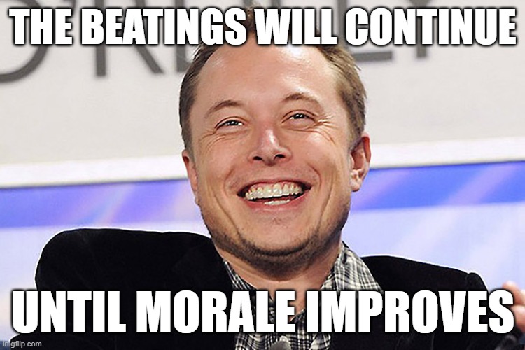 Elon's Plan to Save Twitter | THE BEATINGS WILL CONTINUE; UNTIL MORALE IMPROVES | image tagged in elon musk,twitter | made w/ Imgflip meme maker