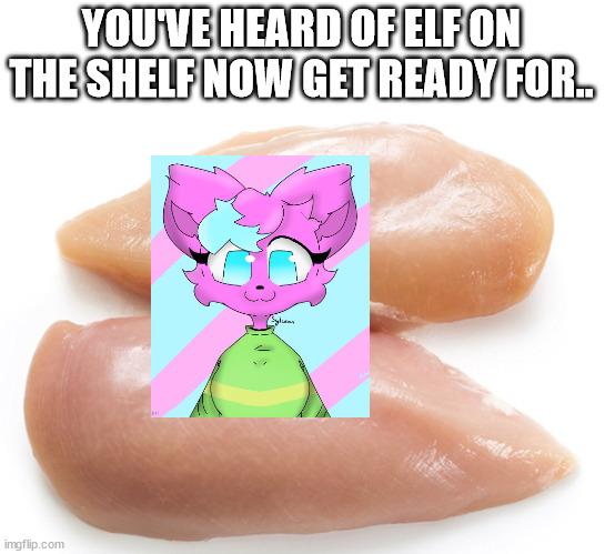 kitty on a titty | YOU'VE HEARD OF ELF ON THE SHELF NOW GET READY FOR.. | image tagged in chicken breasts | made w/ Imgflip meme maker