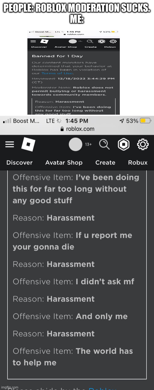 Blox fruits is toxic ngl. | PEOPLE: ROBLOX MODERATION SUCKS.
ME: | image tagged in blank white template | made w/ Imgflip meme maker