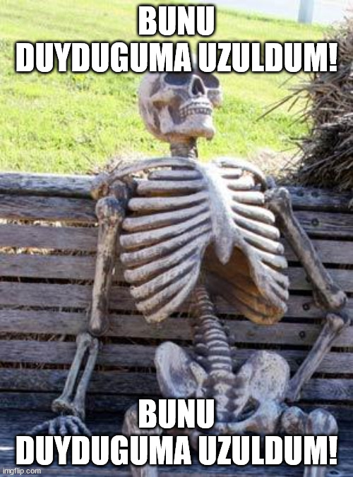 74vd3a.jpg