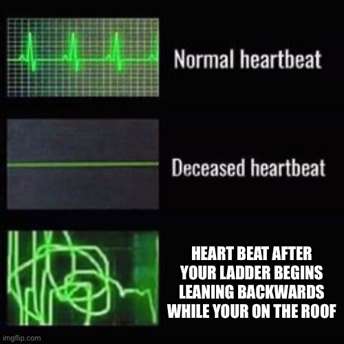 My life has flashed before my eyes | HEART BEAT AFTER YOUR LADDER BEGINS LEANING BACKWARDS WHILE YOUR ON THE ROOF | image tagged in heartbeat rate | made w/ Imgflip meme maker