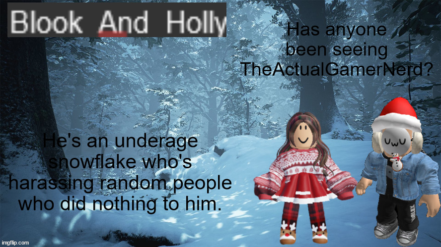 Blook_And_Holly | Has anyone been seeing TheActualGamerNerd? He's an underage snowflake who's harassing random people who did nothing to him. | image tagged in blook_and_holly | made w/ Imgflip meme maker